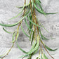 Cascading Willow Eucalyptus - Luv Sola Flowers - Faux Filler