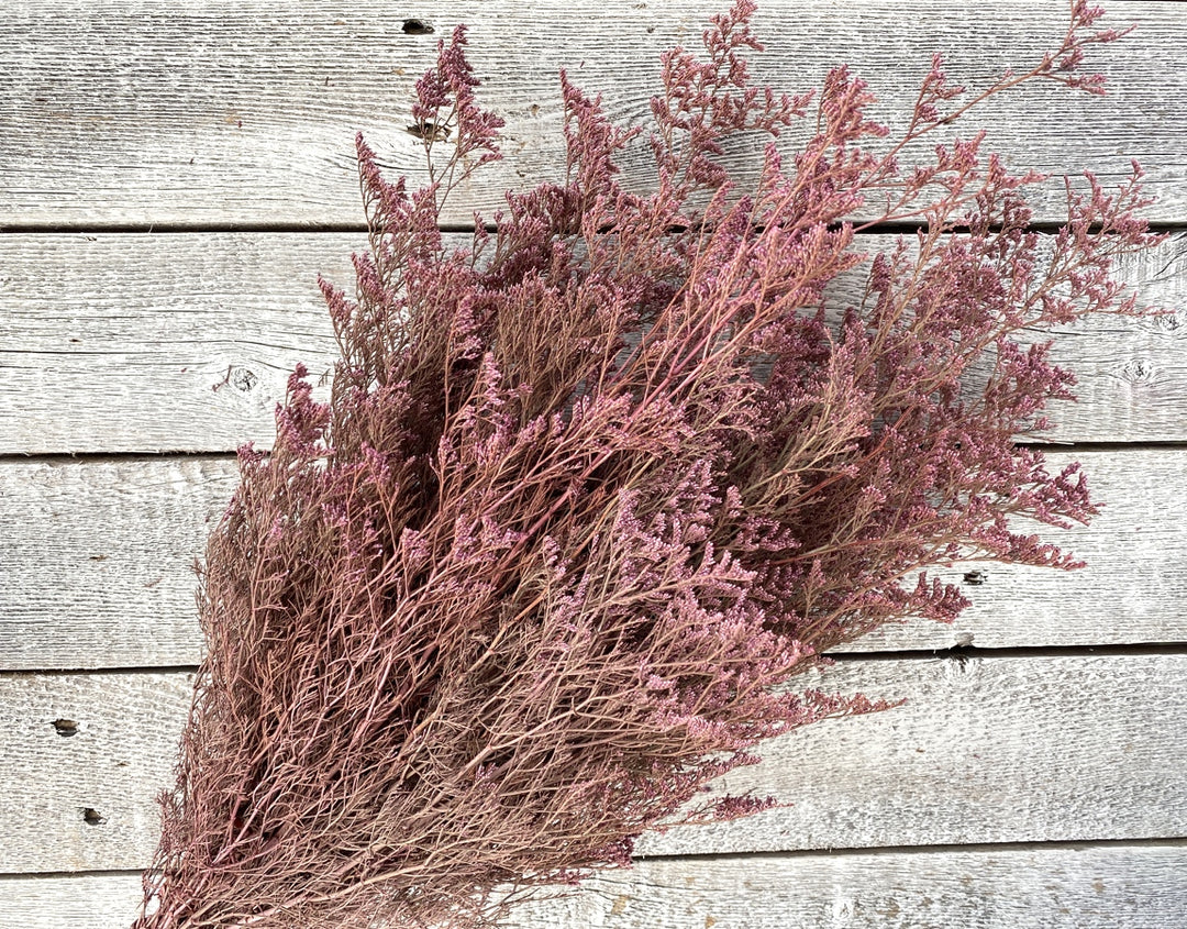Preserved Caspia - Luv Sola Flowers - Filler