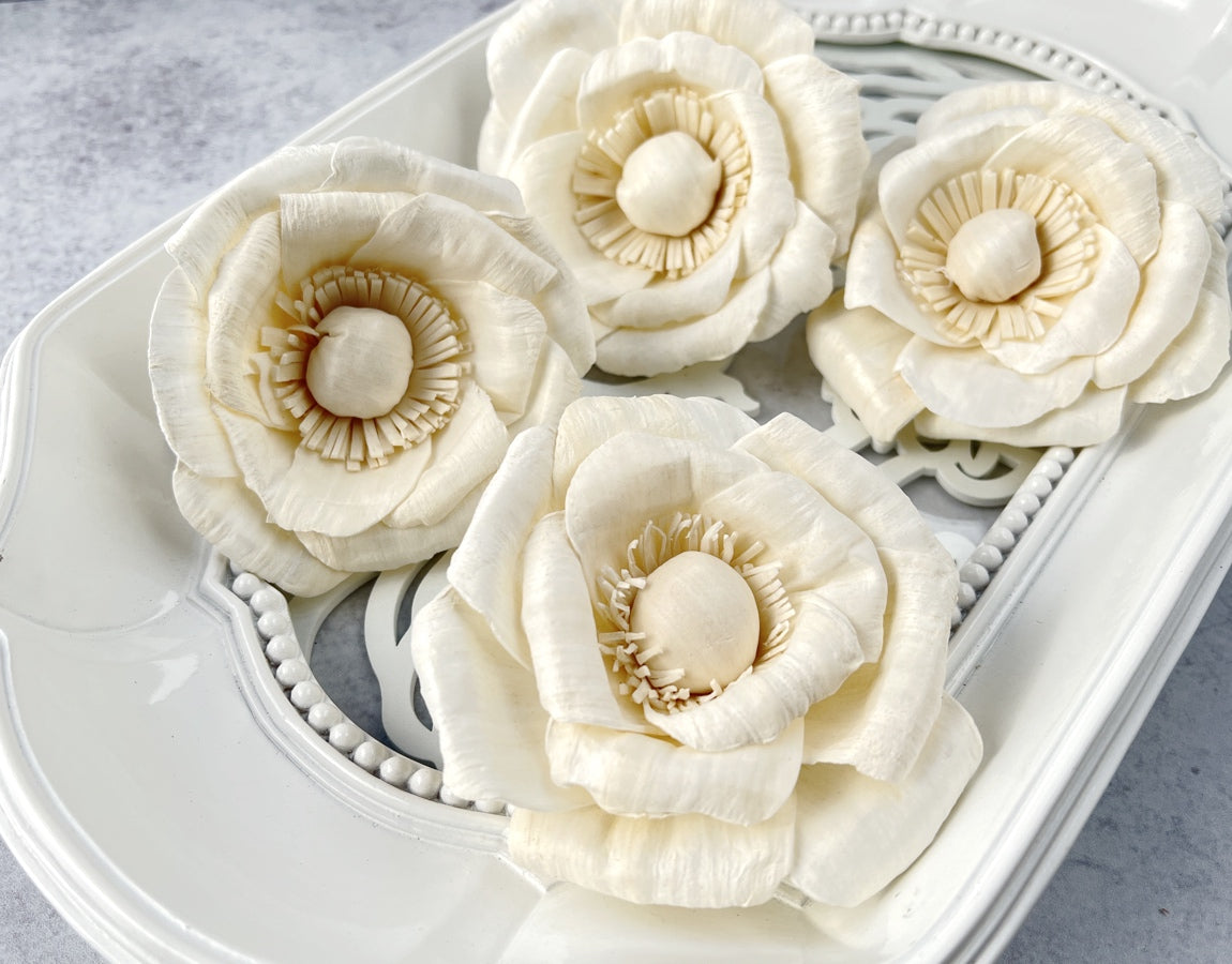Sola Wood Flowers - Catherine - Luv Sola Flowers