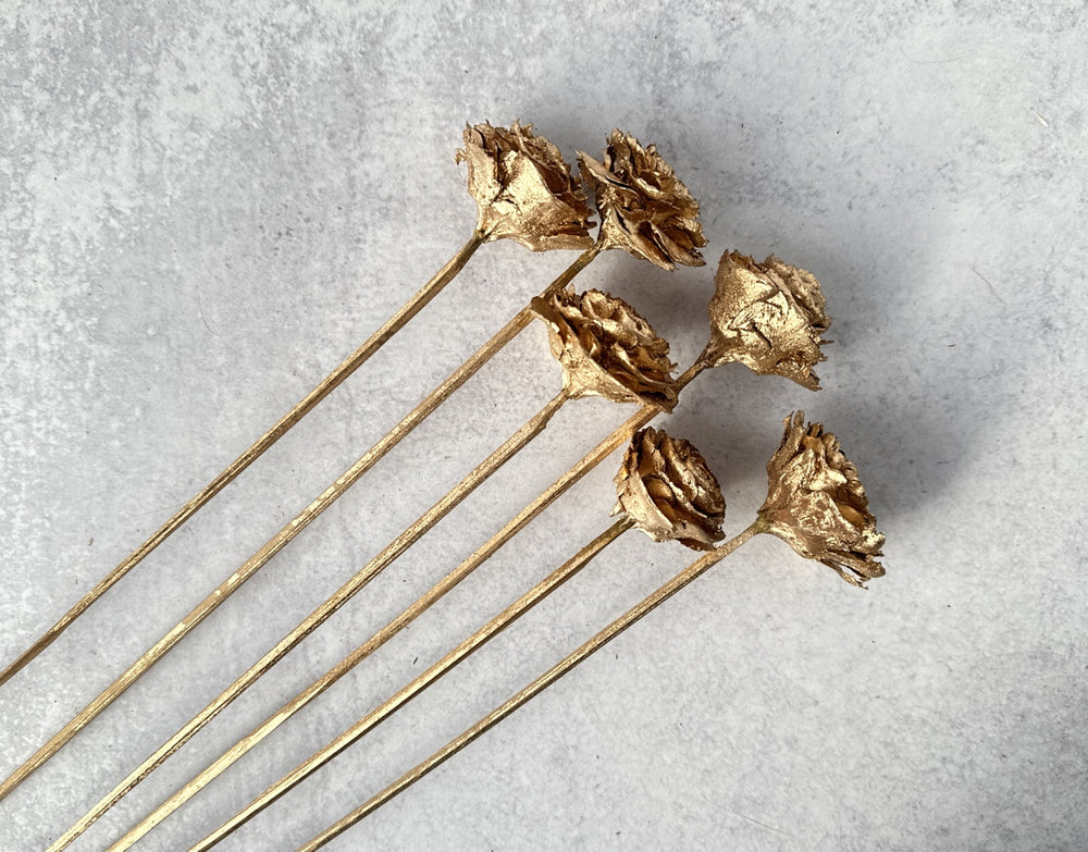 Cedar Rose Gold - Luv Sola Flowers - Dried Botanicals