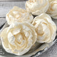 Sola Wood Flowers - Closed Peony - Luv Sola Flowers