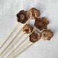 Coco Flower - Luv Sola Flowers - Dried Botanicals