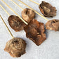Coco Flower - Luv Sola Flowers - Dried Botanicals