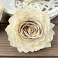 Sola Wood Flowers - Desire