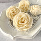 Sola Wood Flowers - Diana - Luv Sola Flowers