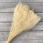 Dried Baby's Breath - Luv Sola Flowers - Filler