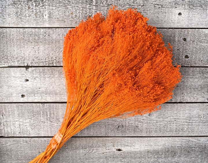 Dried Baby's Breath - Luv Sola Flowers - Filler