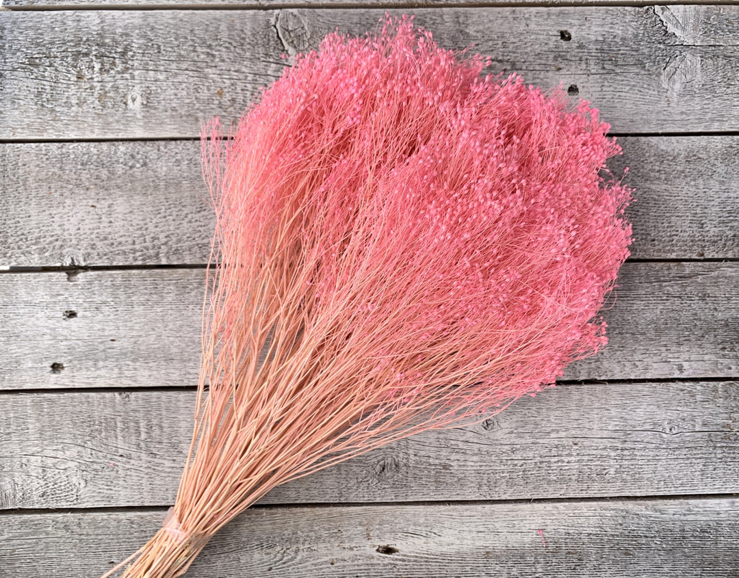 Dried Baby's Breath - Luv Sola Flowers - Filler