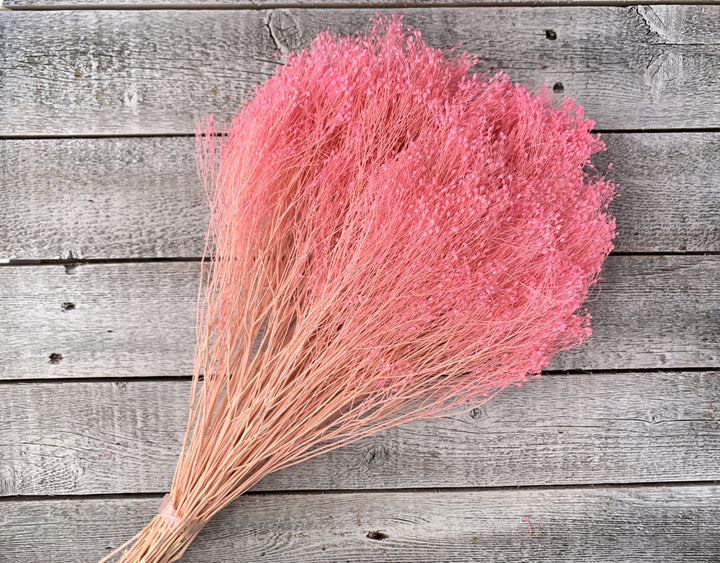 Dried Baby's Breath - Luv Sola Flowers - Filler
