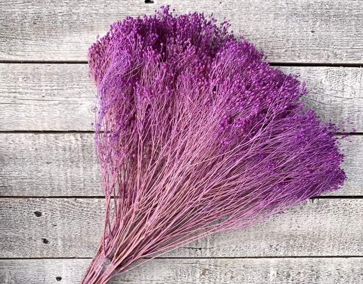 Dried Baby's Breath - Luv Sola Flowers - Filler
