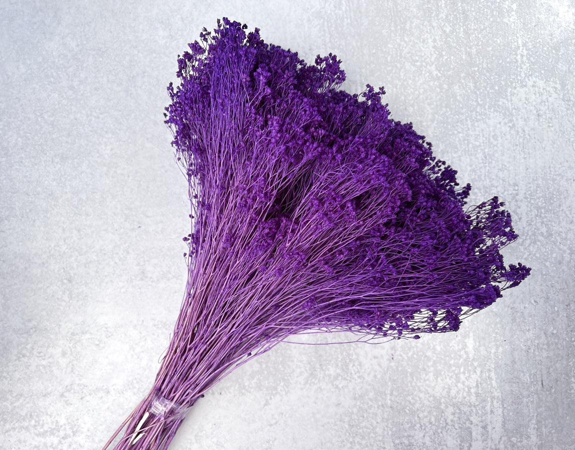 Dried Baby's Breath - Luv Sola Flowers - Filler