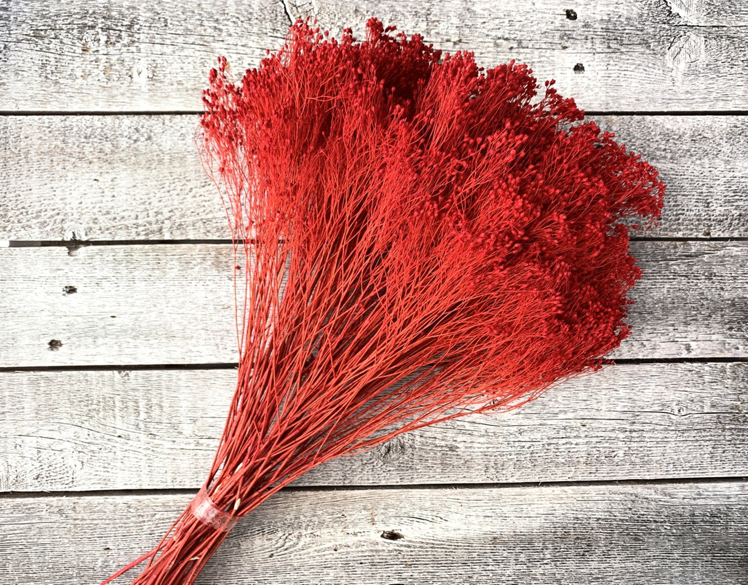 Dried Baby's Breath - Luv Sola Flowers - Filler
