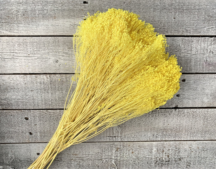 Dried Baby's Breath - Luv Sola Flowers - Filler