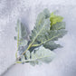 Dusty Miller Stem Faux - Luv Sola Flowers - Faux Filler
