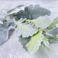 Dusty Miller Stem Faux - Luv Sola Flowers - Faux Filler