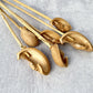 Ear Pod - Luv Sola Flowers - Dried Botanicals