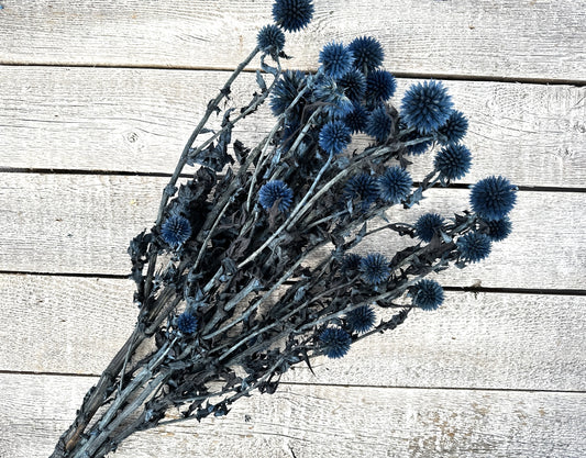 Preserved Echinops - Luv Sola Flowers - Filler
