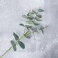 Eucalyptus Leaf Faux - Luv Sola Flowers - Faux Filler