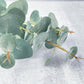 Eucalyptus Leaf Faux - Luv Sola Flowers - Faux Filler