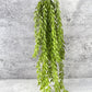 Faux Weeping Willow - Luv Sola Flowers - Faux Filler