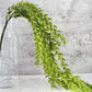 Faux Weeping Willow - Luv Sola Flowers - Faux Filler