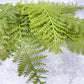 Fern Bush Faux - Luv Sola Flowers - Faux Filler