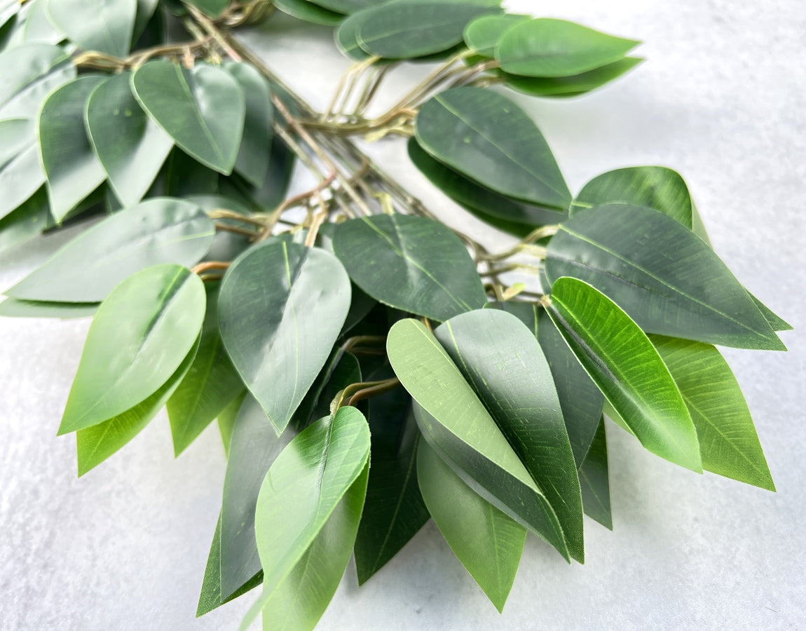 Ficus Leaves - Luv Sola Flowers - Faux Filler
