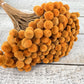 Floral Buttons - Luv Sola Flowers - Filler