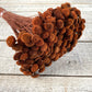 Floral Buttons - Luv Sola Flowers - Filler