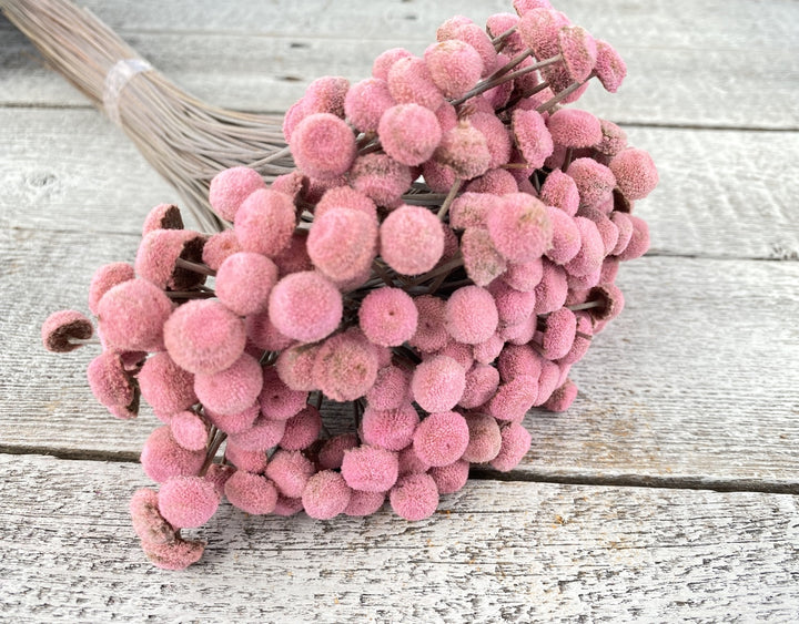 Floral Buttons - Luv Sola Flowers - Filler