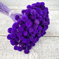 Floral Buttons - Luv Sola Flowers - Filler