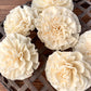 Sola Wood Flowers - Freya - Luv Sola Flowers