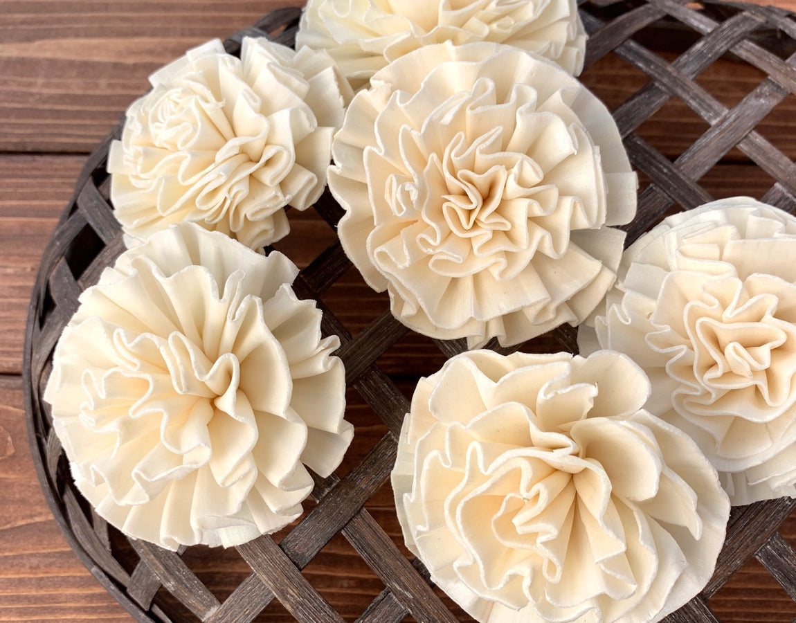 Sola Wood Flowers - Freya - Luv Sola Flowers