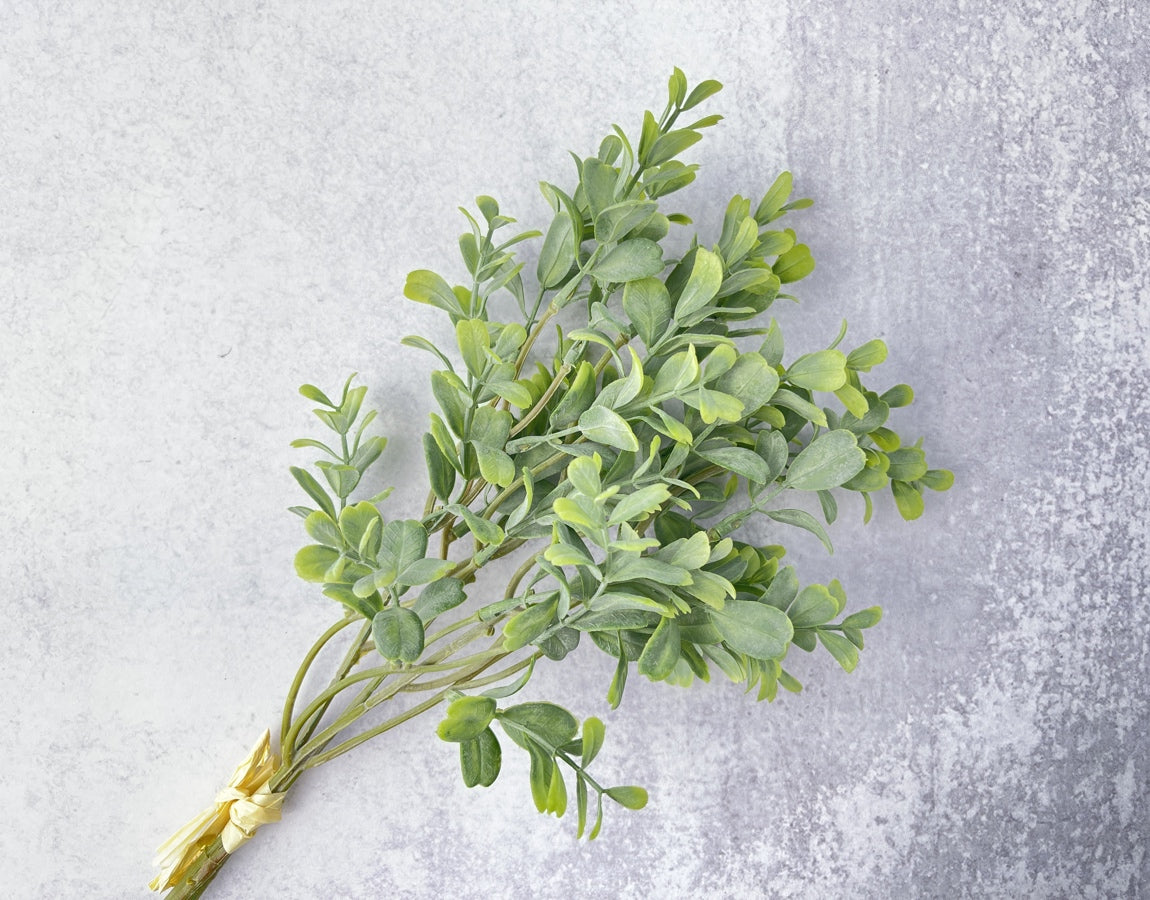 Frosted Boxwood Stems Faux - Luv Sola Flowers - Faux Filler