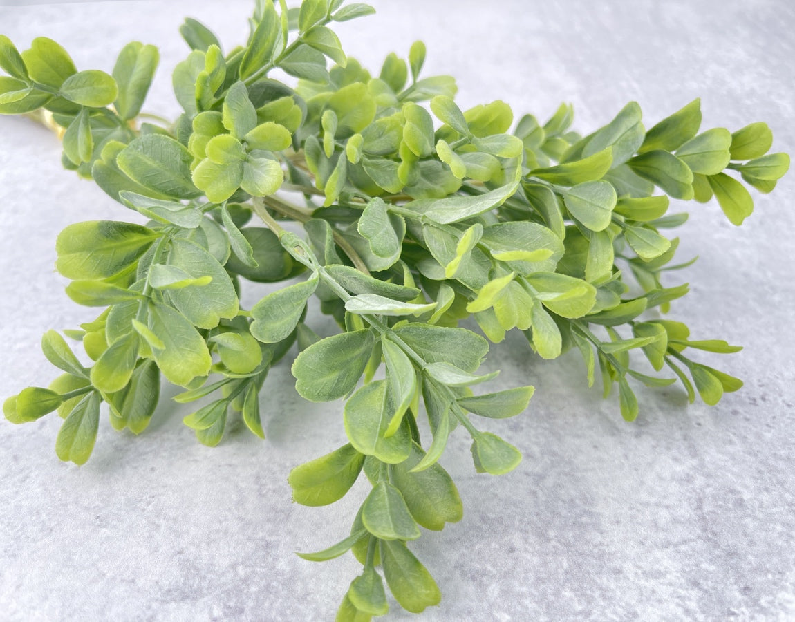 Frosted Boxwood Stems Faux - Luv Sola Flowers - Faux Filler
