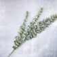 Faux Frosted Spiral Eucalyptus - Luv Sola Flowers - Faux Filler