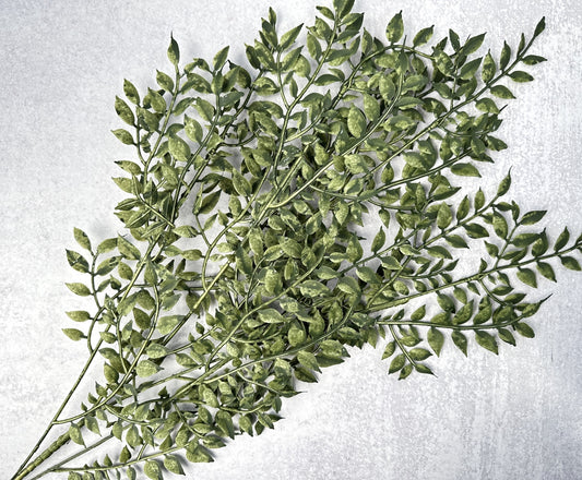 Green Ruscus Bush - Luv Sola Flowers - Faux Filler