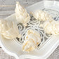 Sola Wood Flowers - Guilty Pleasures - Luv Sola Flowers