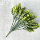 Hops Pick - Luv Sola Flowers - Faux Filler