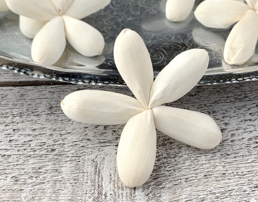 Sola Wood Flowers - Jazzy - Luv Sola Flowers