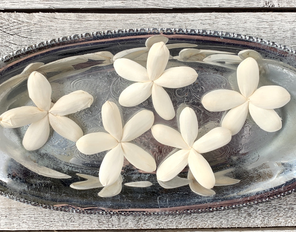 Sola Wood Flowers - Jazzy - Luv Sola Flowers