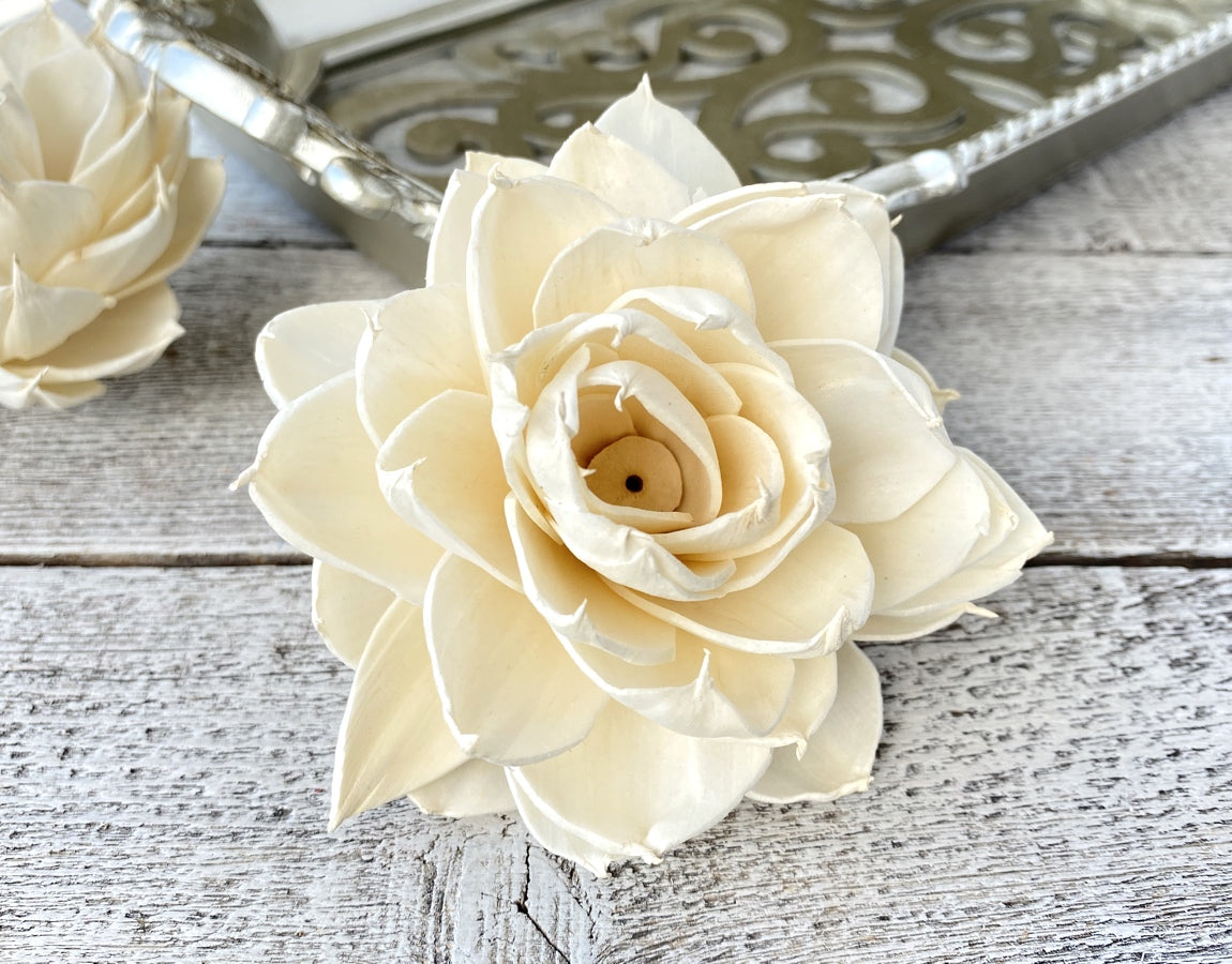 Sola Wood Flowers - Josephine - Luv Sola Flowers