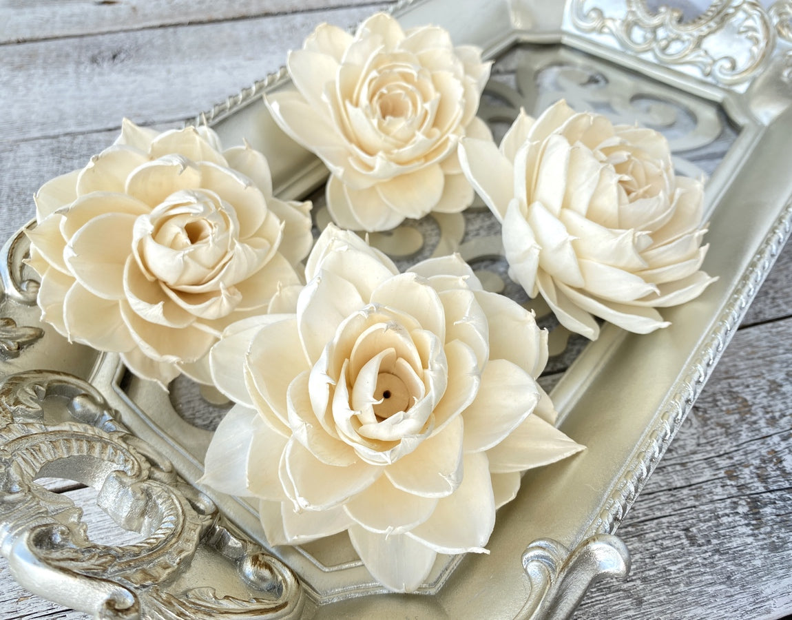Sola Wood Flowers - Josephine - Luv Sola Flowers