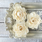 Sola Wood Flowers - Josephine - Luv Sola Flowers