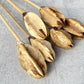Lily Center - Luv Sola Flowers - Dried Botanicals