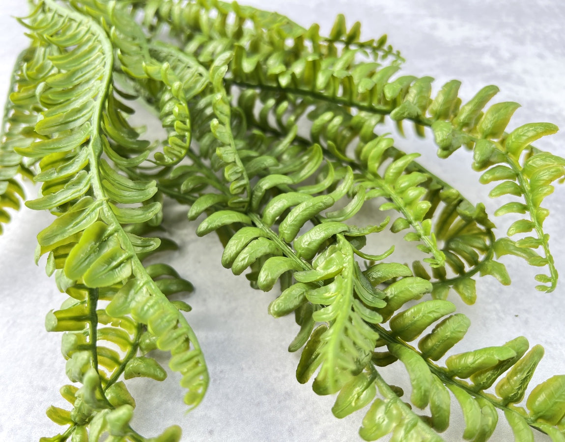 Long Leaf Fern - Luv Sola Flowers - Faux Filler