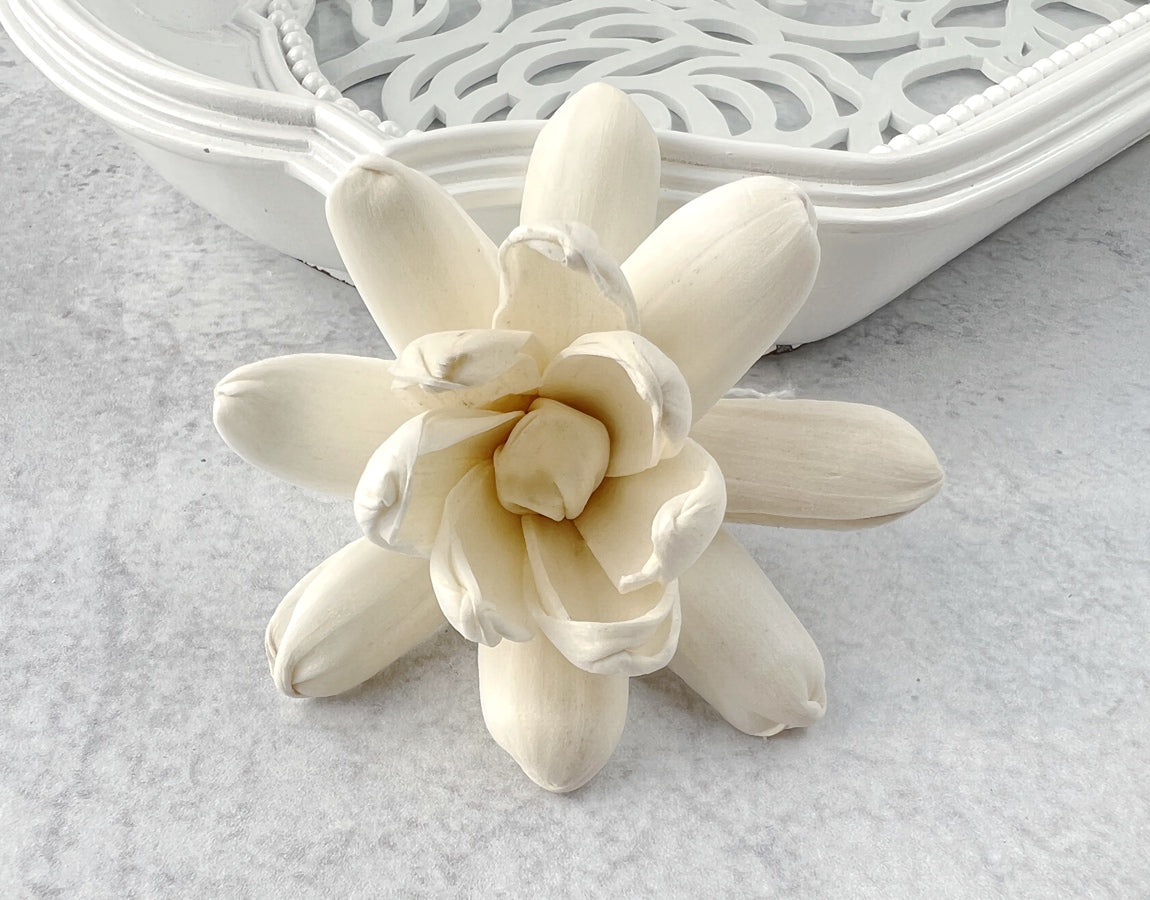 Sola Wood Flowers - Lulwa - Luv Sola Flowers
