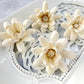 Sola Wood Flowers - Lulwa - Luv Sola Flowers