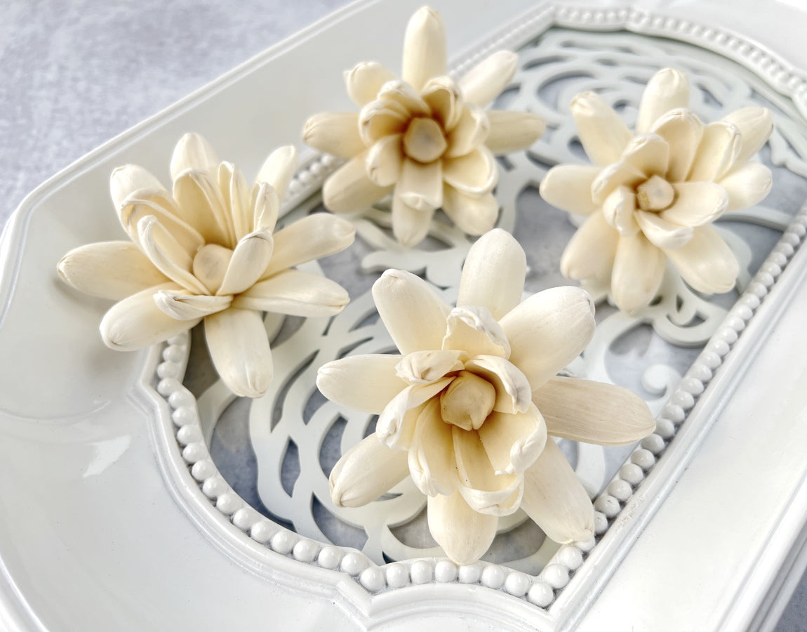 Sola Wood Flowers - Lulwa - Luv Sola Flowers