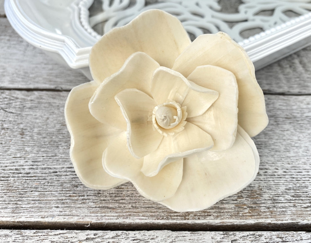 Sola Wood Flowers - Maddi - Luv Sola Flowers